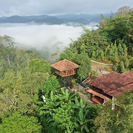 Spice Forest Plantation Homestay, Thekkady Vandiperiyār エクステリア 写真